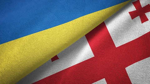 Gürcüstan Ukrayna kəşfiyyatını çevriliş planlaşdırmaqda ittiham edir