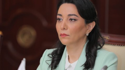 Ombudsman BMT-nin müşaviri ilə görüşdü