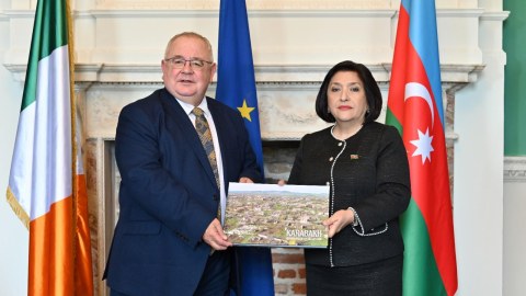Sahibə Qafarova irlandiyalı həmkarı ilə görüşdü