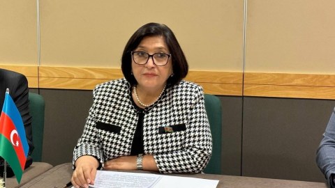 Heç kim erməniləri Qarabağdan getməyə məcbur etmir - Sahibə Qafarova