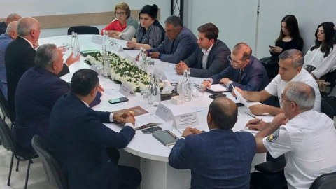 Bakıda 200-dən artıq qurumuş ağac çıxarılacaq - Müzakirə
