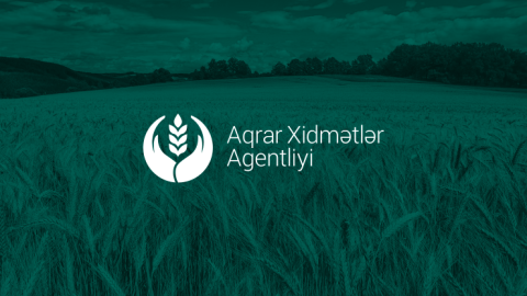 Aqrar Xidmətlər Agentliyində sədr təyinatı