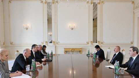 Prezident Vladimir Orliçi qəbul etdi