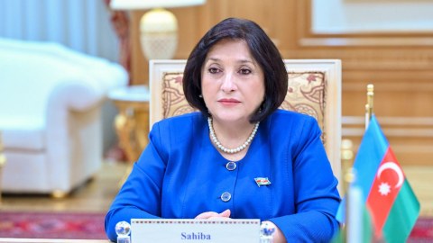 Avropa Parlamenti bunları görmək istəmir - Sahibə Qafarova