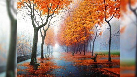 Temperatur aşağı enəcək, yağış, dolu, qar yağacaq - Sabahın havası
