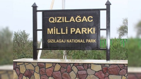 Qızılağac Milli Parkında vəziyyət yaxşıdır