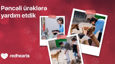 Qırmızı Ürəklər könüllüləri heyvan sığınacağına yardım etdi