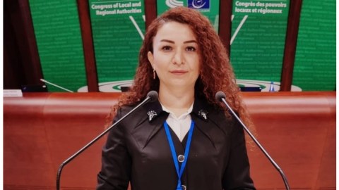 Azərbaycanlı deputat Avropa Şurasının komitəsində 1-ci vitse-prezident seçildi