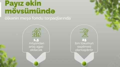 Payızda 1,5 milyondan artıq ağac əkiləcək