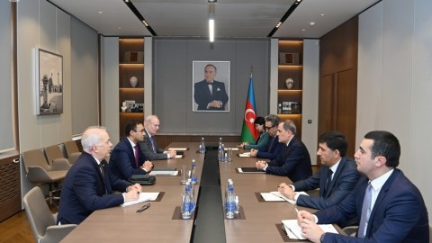 Nazir beyin mərkəzinin nümayəndələri ilə görüşdü