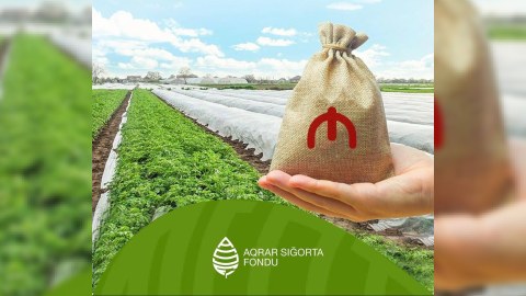 Aqrar Sığorta Fondu zərər ödənişlərinə başladı