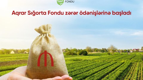 Fermerlərin nəzərinə: Aqrar Sığorta Fondu zərər ödənişlərinə başladı  