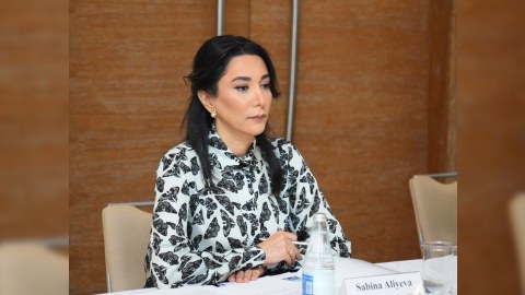 Ermənistan rəhbərliyi münaqişəni qızışdırmağa çalışır - Ombudsman