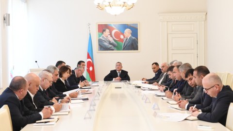Doğma yurduna qayıdan insanların sayı AÇIQLANDI