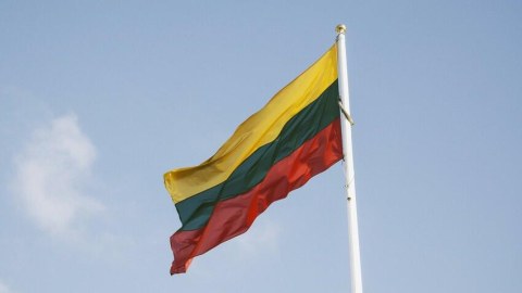 Litva Belarusa nota verdi