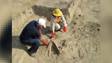 Arxeoloji ekspedisiyaların fəaliyyət müddəti artırıldı