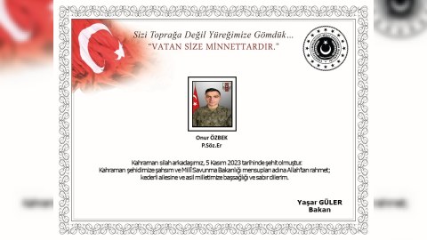 Türkiyə ordusu şəhid verdi