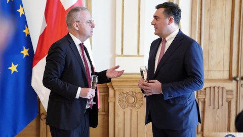 Darçiaşvili Aİ rəsmilərini qəbul etdi - FOTOLAR