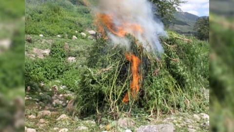 Müsadirə olunmuş narkotik vasitələr məhv edildi
