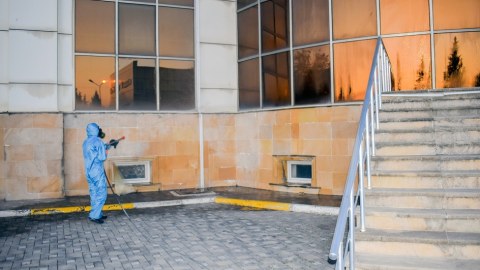 Qəhvəyi mərmər bağacığına qarşı mübarizə aparılır - FOTO