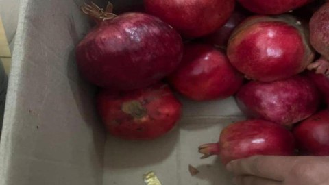 Cəzaçəkmə müəssisəsinə narkotik keçirmək istədi