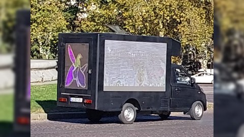 Tbilisidə Zəfər Günü ilə bağlı AKSİYA