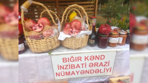 Göyçayda Nar Festivalına start verildi - FOTOLAR