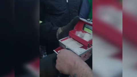 Nazirlik əməkdaşları bir qutu qızıl tapdı - Sahibinə qaytardı
