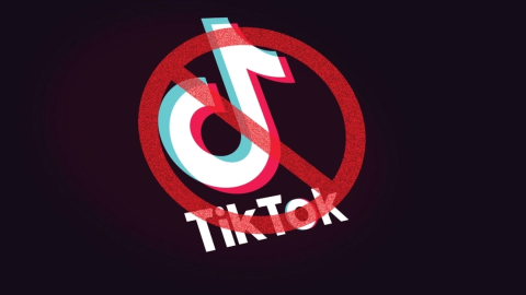 Bu ölkədə "TikTok" qadağan edilir