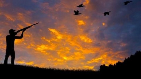 Ovçulardan qadağan olunmuş ov alətləri götürüldü