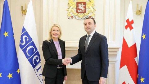 Qaribaşvili Kauma ilə Qafqazı müzakirə etdi 