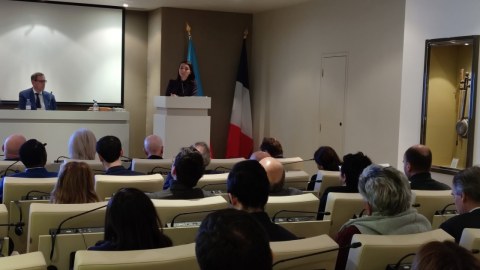 Qafqazda sülh perspektivləri - Parisdə konfrans keçirildi