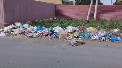 Cəlilabadda ətrafı mühiti çirkləndirənlər cərimələndi