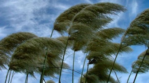 Küləkli hava nə vaxta kimi davam edəcək? - Nazirlikdən açıqlama