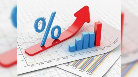 Gürcüstanda işsizlik səviyyəsi - STATİSTİKA