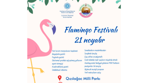 Qızılağac Milli Parkında “Flaminqo Festivalı” başlayıb