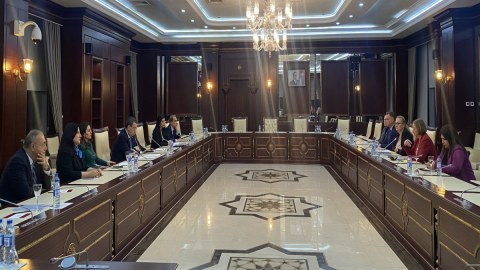 Milli Məclisdə AŞPA həmməruzəçisi ilə görüş