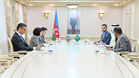 Sahibə Qafarova səfirlərlə danışıqlar apardı