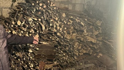 Şamaxıda ağac kəsən şəxs cərimələndi - FOTO