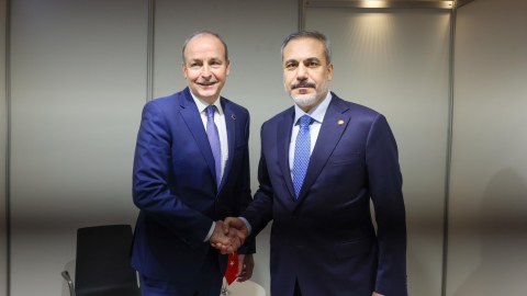 Fidan irlandiyalı həmkarı ilə müzakirələr apardı