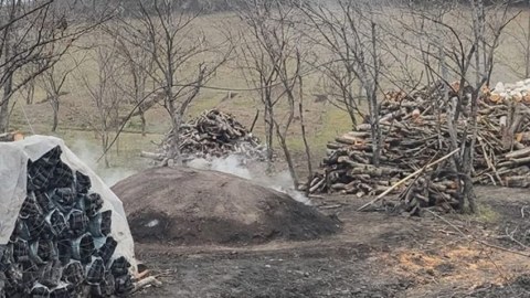 Qubada qanunsuz kömür quyusu aşkarlandı