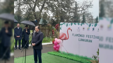 Qızılağac Milli Parkında “Flaminqo Festivalı” - FOTO