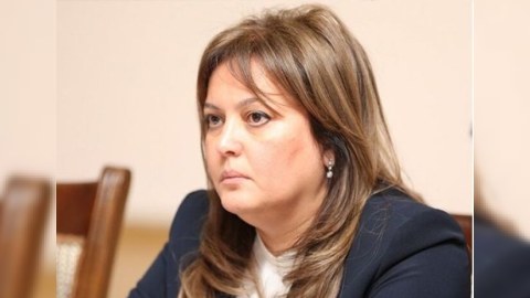 Azərbaycan iqlim dəyişmələrinə həssas olan ölkələrdəndir - Nazir müavini
