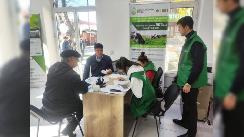 Şəkidə fermerlərə sığorta ödənişlərinə BAŞLANILDI