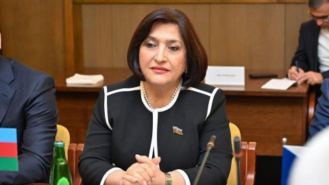 Spiker Çexiyada dostluq qrupunun üzvləri ilə görüşdü - FOTO