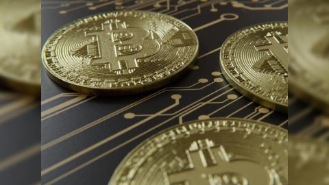Bitkoinin qiyməti 44 min dolları ötüb