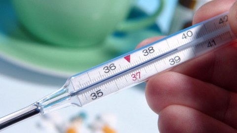 Qızılca zamanı temperaturu parasetamolla salmaq olar
