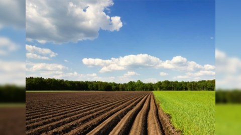Torpaq payı olanlar işsizlikdən sığorta ödənişi ala biləcək
