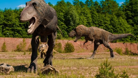 Alimlər dinozavrların kütləvi ölüm səbəbini AÇIQLADILAR