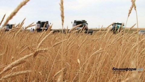 Başqırdıstan Azərbaycana 500 ton buğda göndərdi